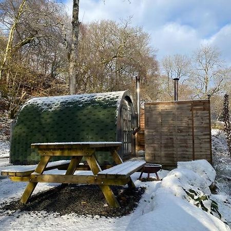 Pine Cosy Winter Cabin - Hot Tub & Log Burner Lejlighed Barmouth Eksteriør billede
