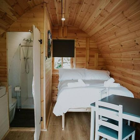 Pine Cosy Winter Cabin - Hot Tub & Log Burner Lejlighed Barmouth Eksteriør billede