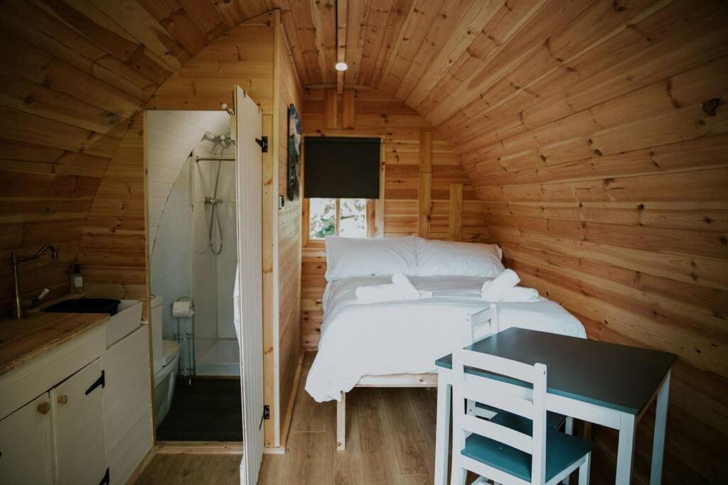 Pine Cosy Winter Cabin - Hot Tub & Log Burner Lejlighed Barmouth Eksteriør billede