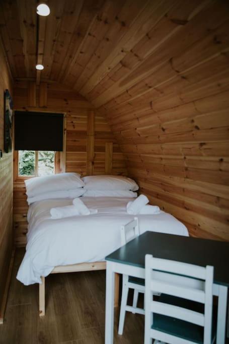 Pine Cosy Winter Cabin - Hot Tub & Log Burner Lejlighed Barmouth Eksteriør billede