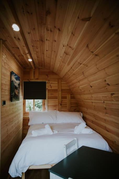 Pine Cosy Winter Cabin - Hot Tub & Log Burner Lejlighed Barmouth Eksteriør billede