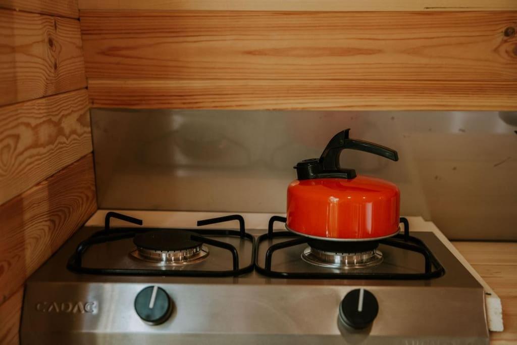 Pine Cosy Winter Cabin - Hot Tub & Log Burner Lejlighed Barmouth Eksteriør billede